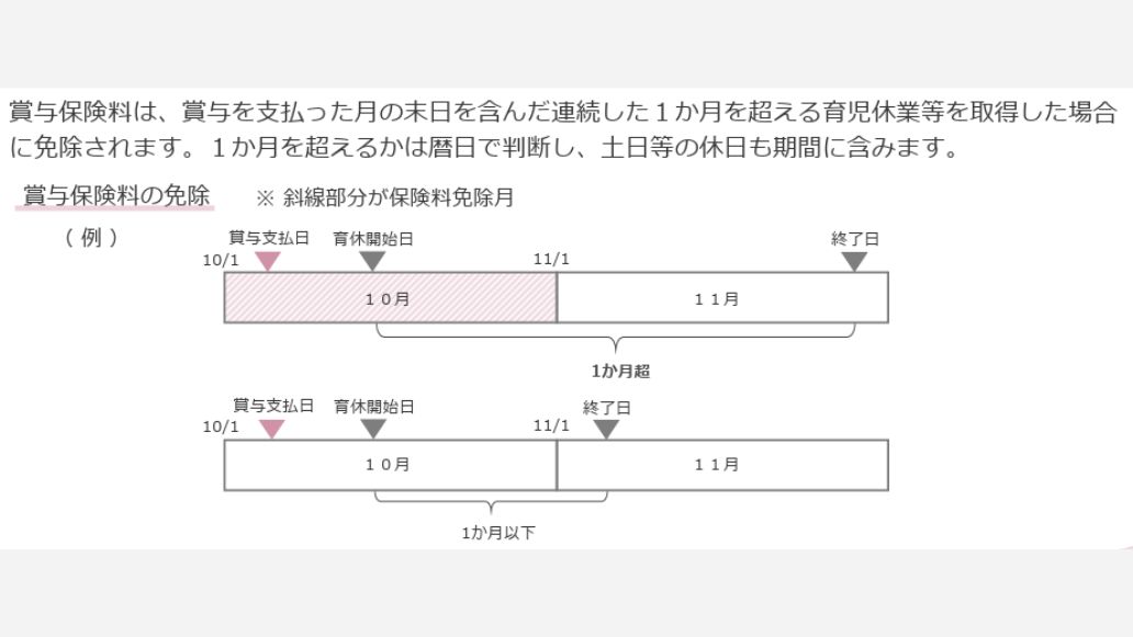 賞与保険料の免除