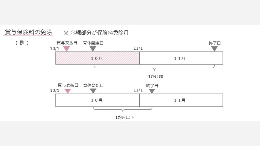 賞与保険料の免除