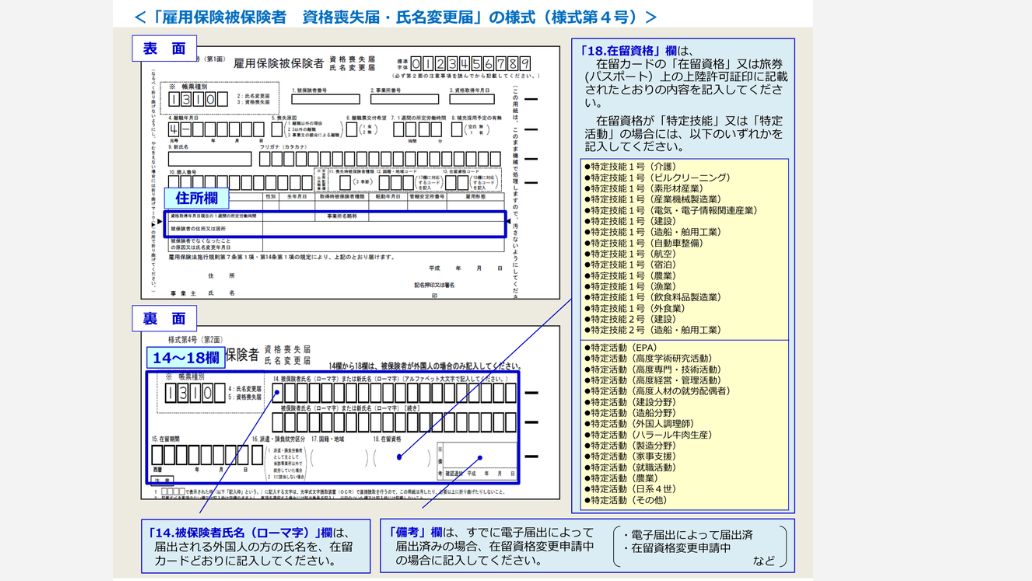 雇用保険被保険者