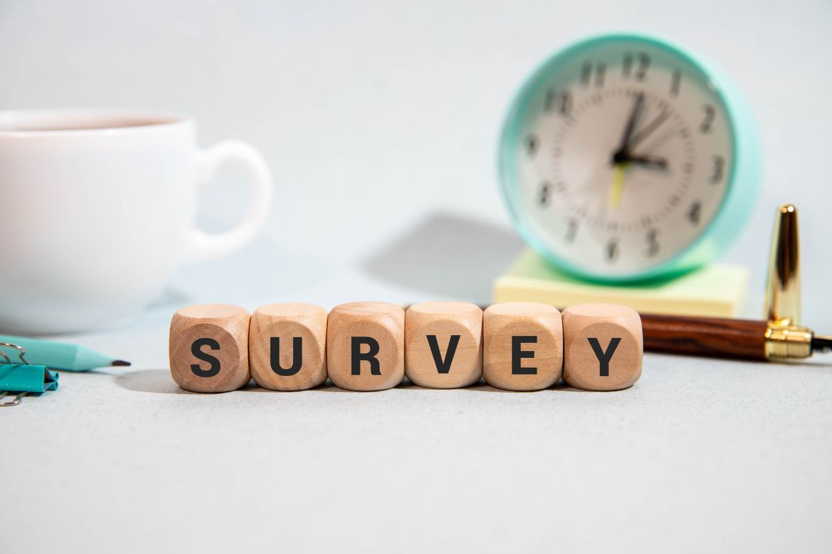 サーベイのブロック